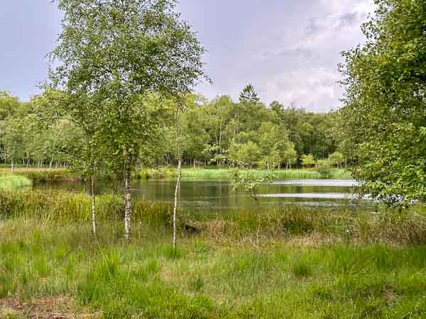 KaltenhoferMoorsee